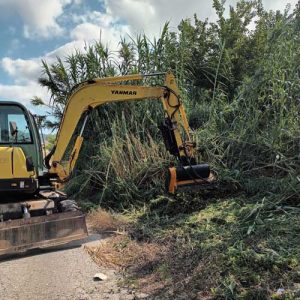 Limpieza de terrenos en La Safor Excavaciones Artés