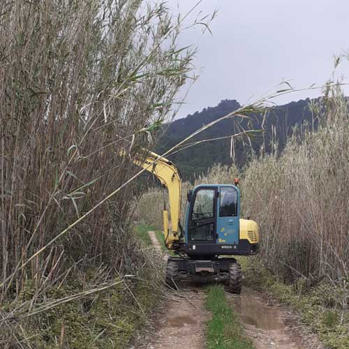 Excartes eliminación vegetación