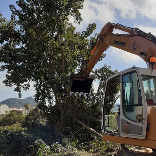 Empresa Excavadora Excartés en España