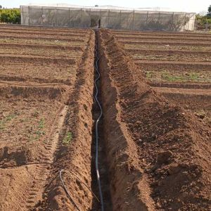 Adecuación terreno agrícola para regadío